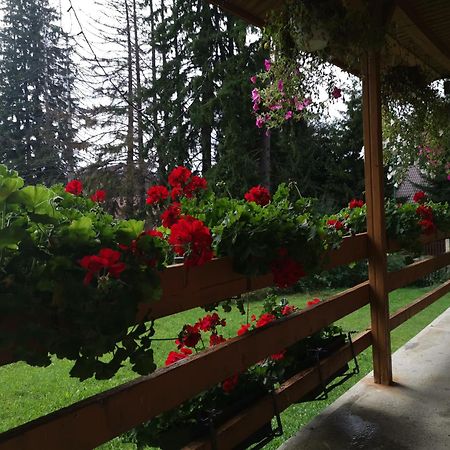 Challet Montan Poiana Brasov Bagian luar foto