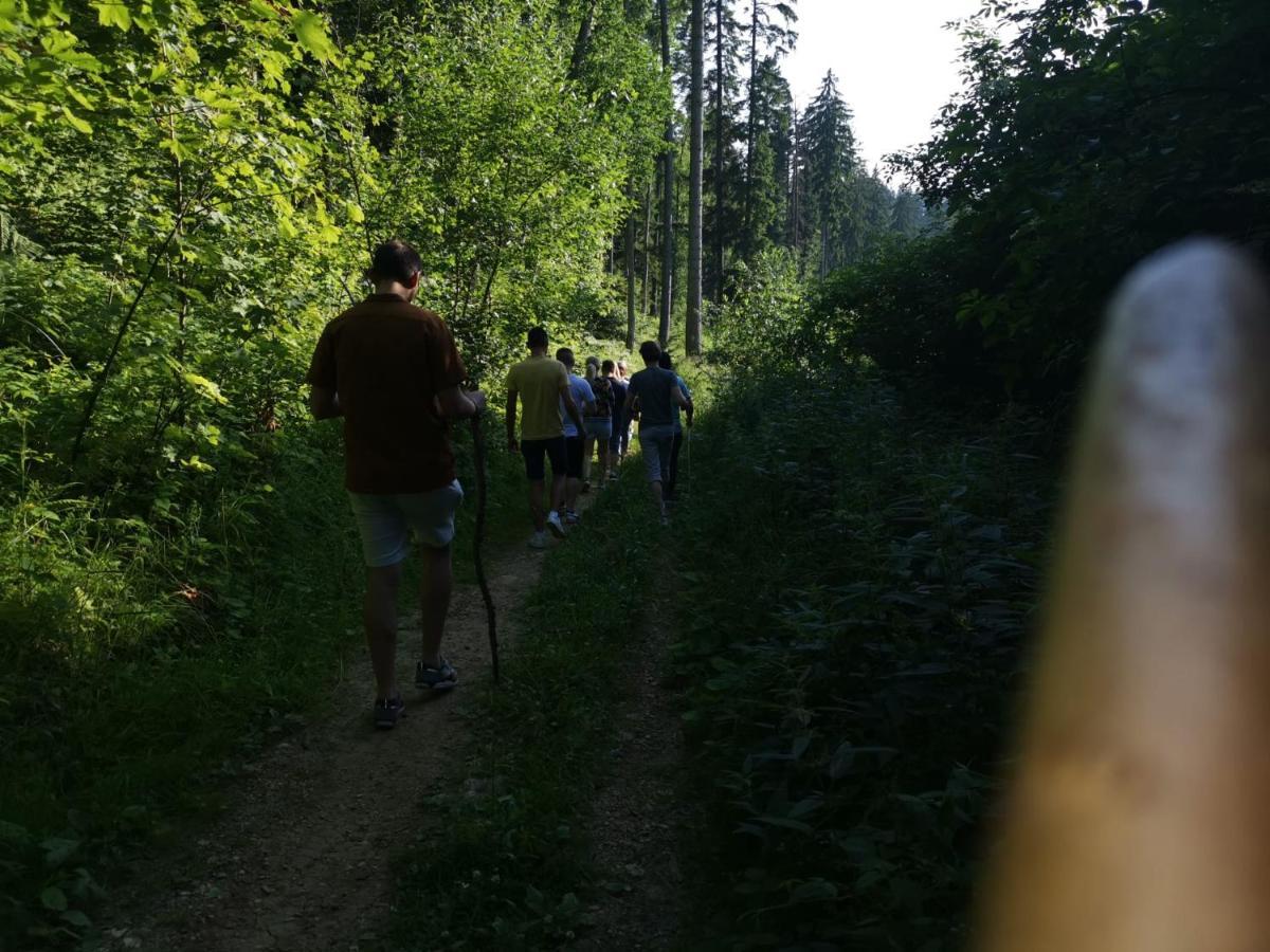 Challet Montan Poiana Brasov Bagian luar foto
