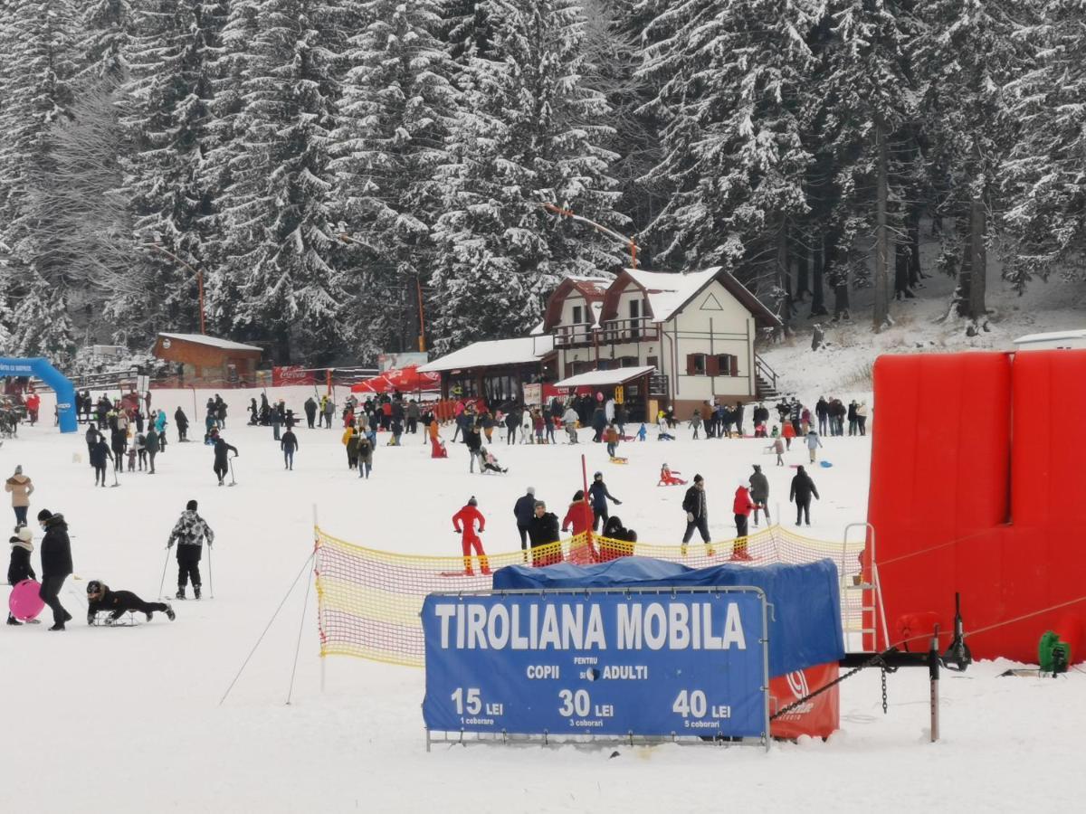 Challet Montan Poiana Brasov Bagian luar foto