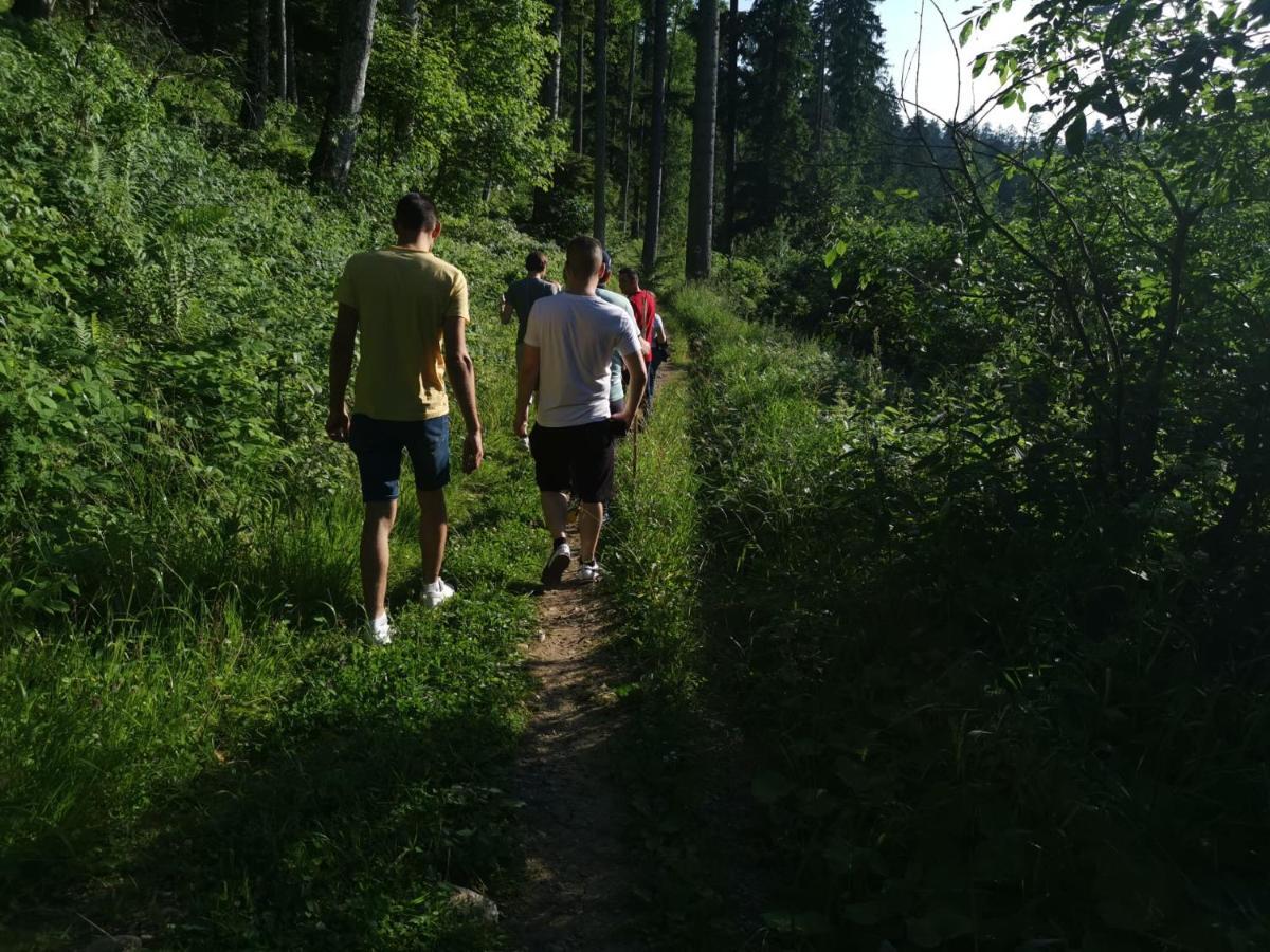 Challet Montan Poiana Brasov Bagian luar foto