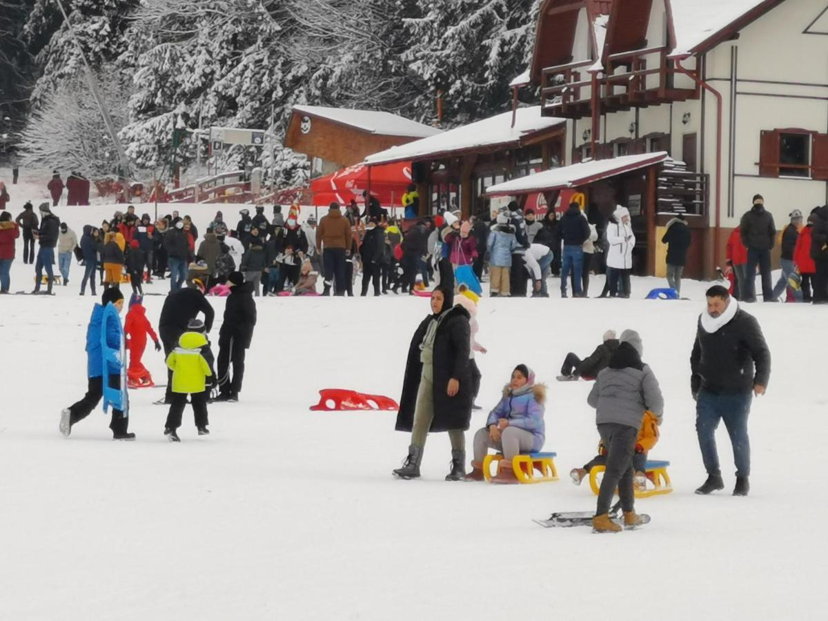 Challet Montan Poiana Brasov Bagian luar foto