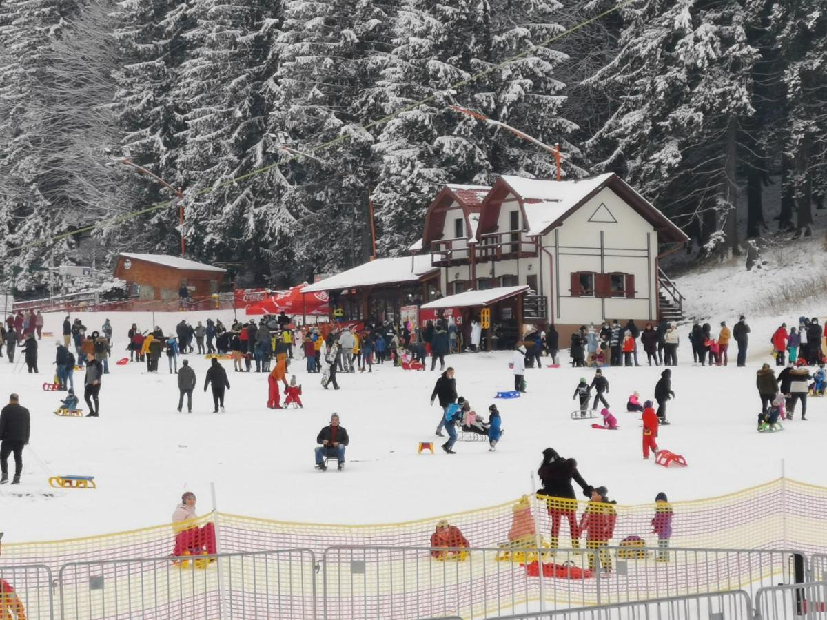 Challet Montan Poiana Brasov Bagian luar foto