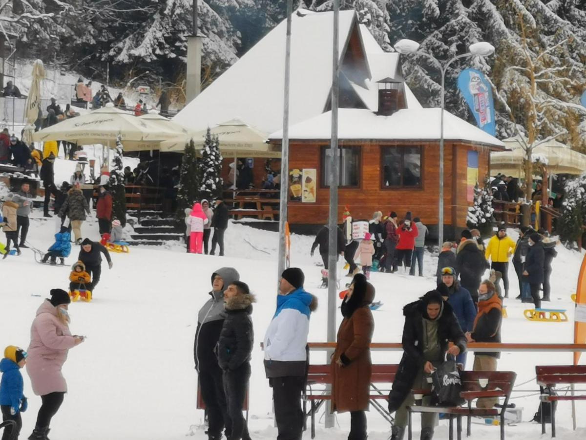 Challet Montan Poiana Brasov Bagian luar foto