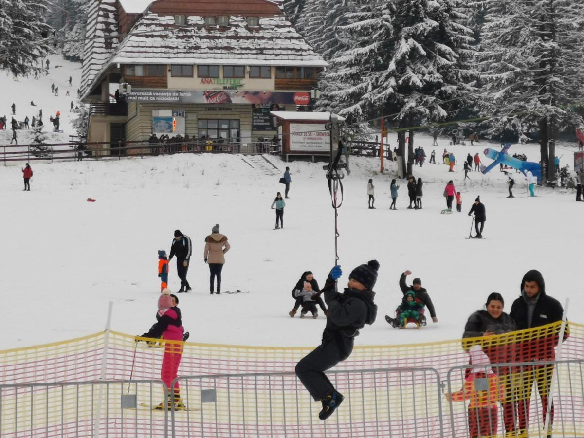 Challet Montan Poiana Brasov Bagian luar foto