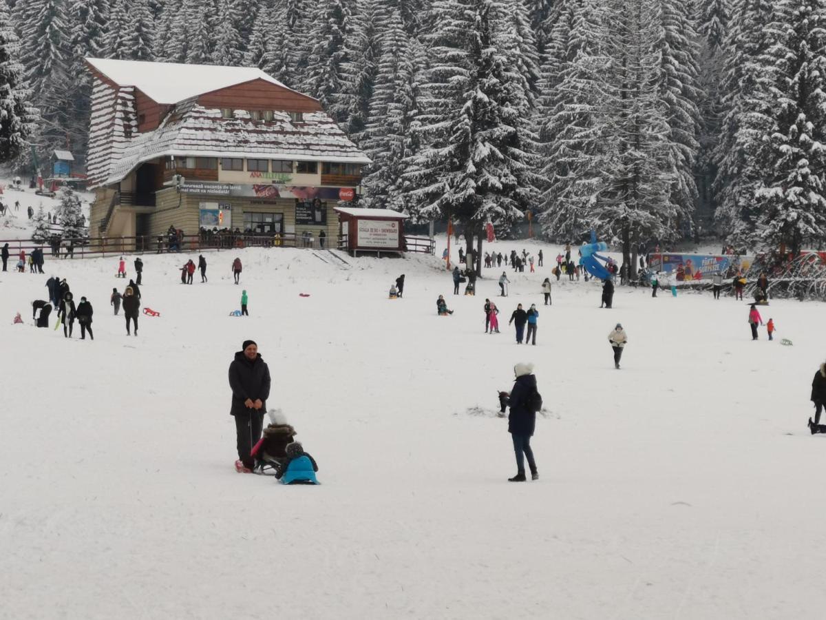 Challet Montan Poiana Brasov Bagian luar foto