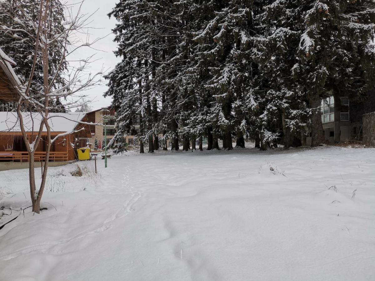 Challet Montan Poiana Brasov Bagian luar foto