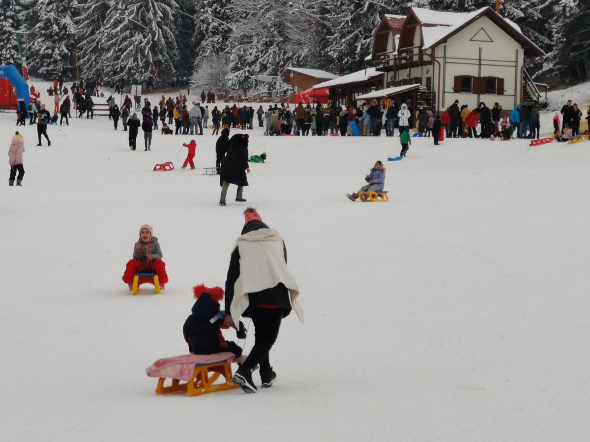 Challet Montan Poiana Brasov Bagian luar foto