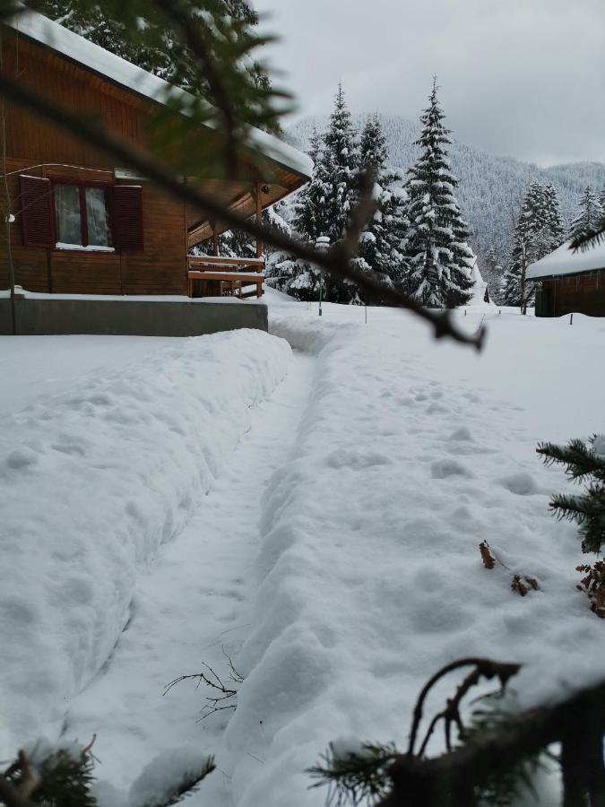 Challet Montan Poiana Brasov Bagian luar foto
