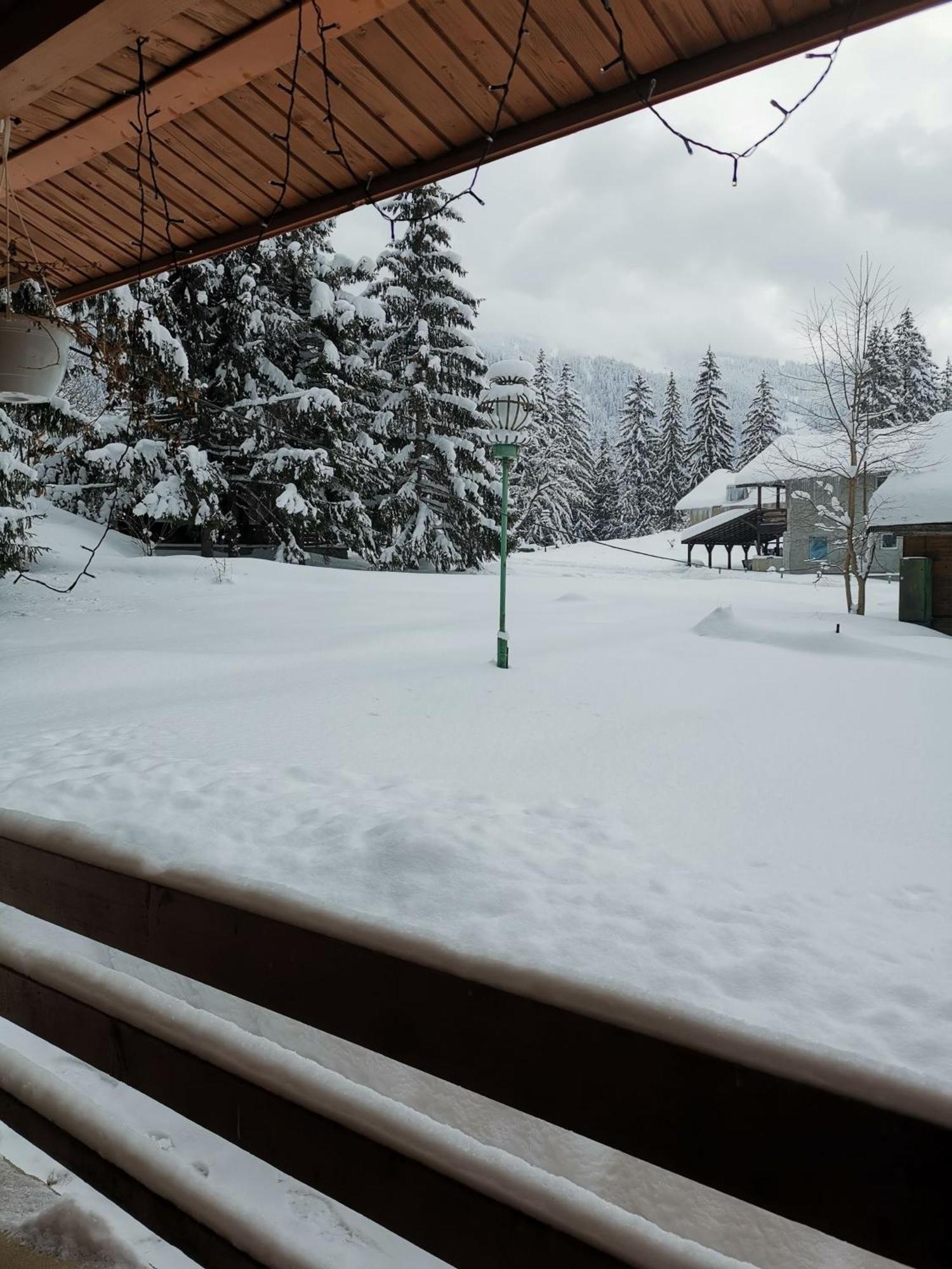 Challet Montan Poiana Brasov Bagian luar foto