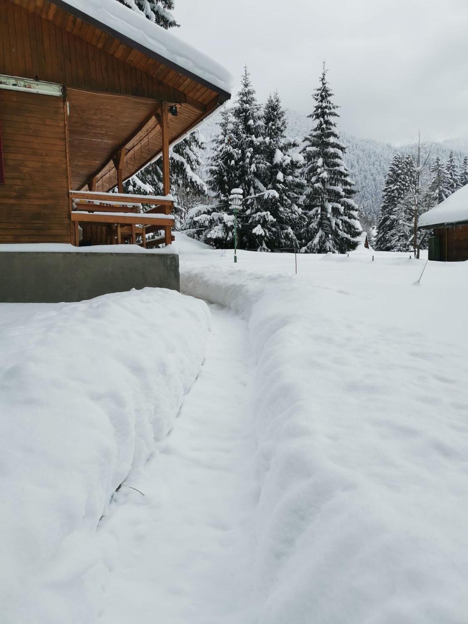 Challet Montan Poiana Brasov Bagian luar foto