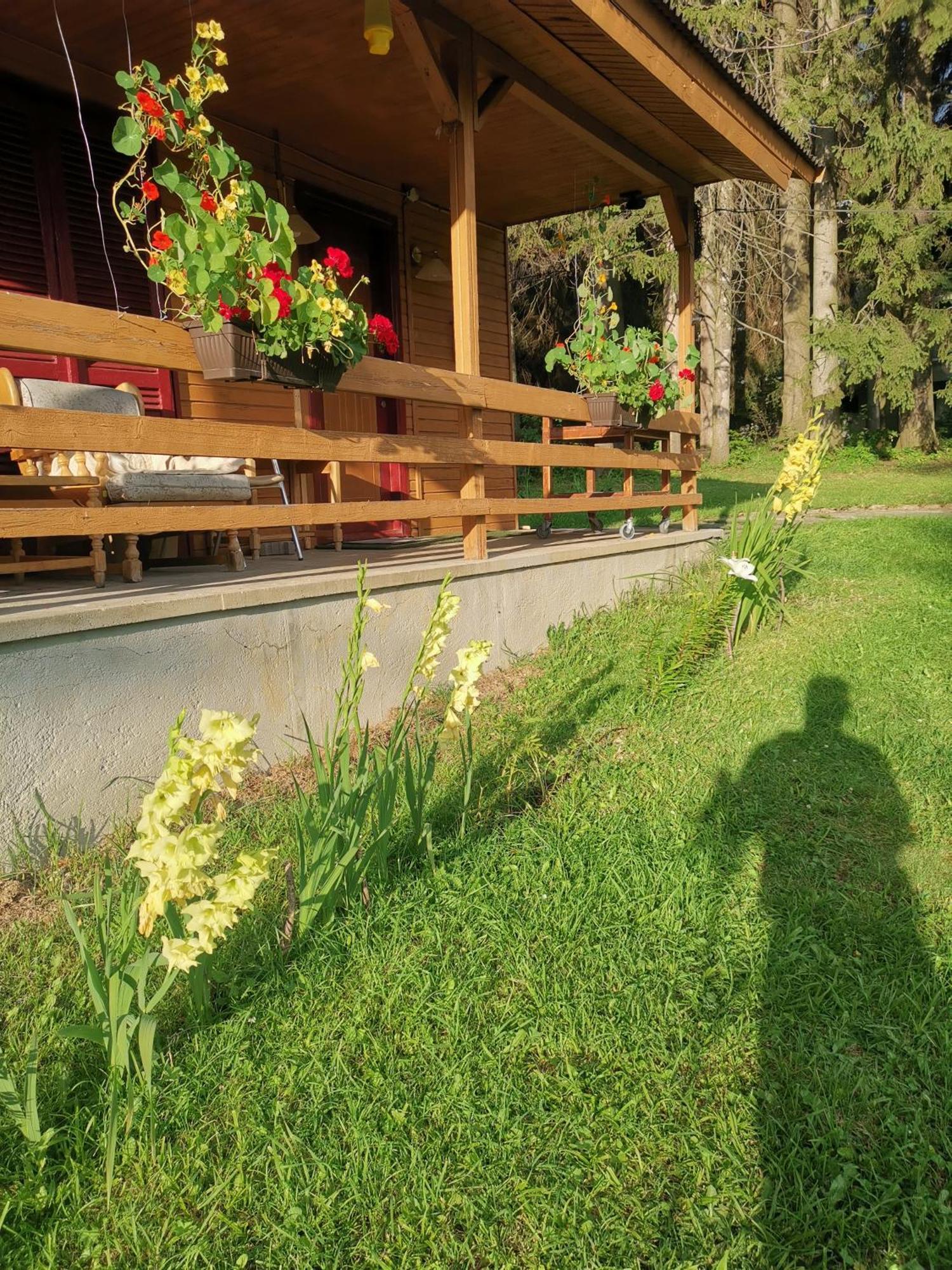 Challet Montan Poiana Brasov Bagian luar foto