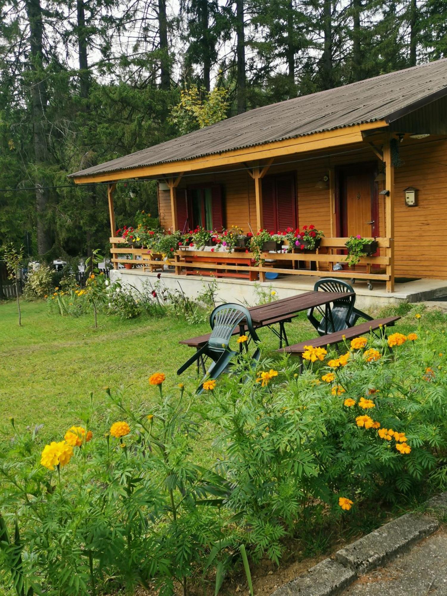 Challet Montan Poiana Brasov Bagian luar foto